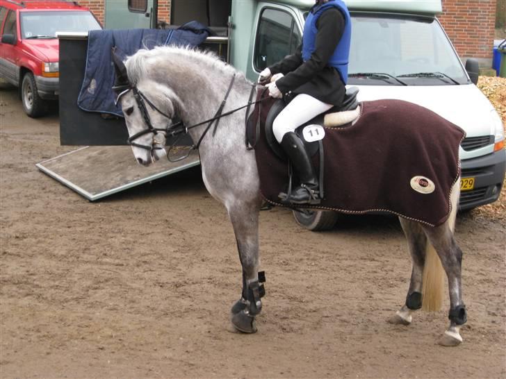 DSP Andy "SOLGT" - Efter LA spring stævne i Egtved billede 8
