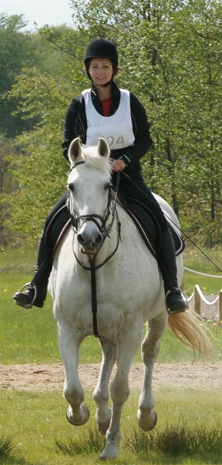 Anden særlig race Queenie* R.I.P.* billede 10