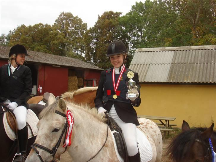 Anden særlig race »Philippa<3 »Gammel part. - Klubmester 2009 i spring<3.. billede 17