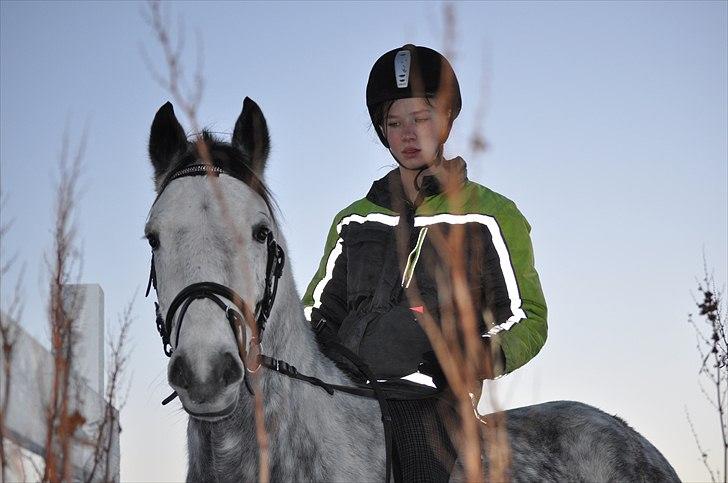 Anden særlig race Theis - VBP <3 - NYT!!!!!!´:) 12/12-10!<3 Drømme´ponyen og jeg(; // Foto mor!(; billede 10