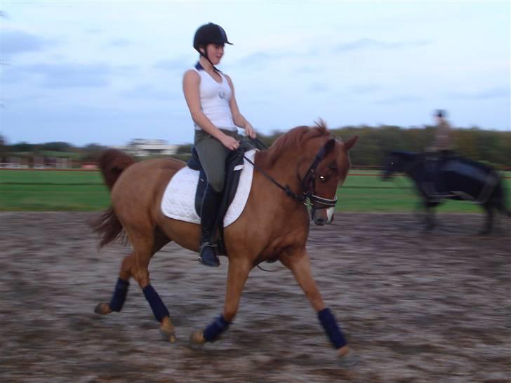 Anden særlig race magic fancy fancy(ik min) billede 15