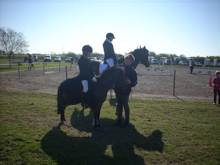 Anden særlig race Starlight * tidl passer * - Starlight bliver snakket med :P billede 14