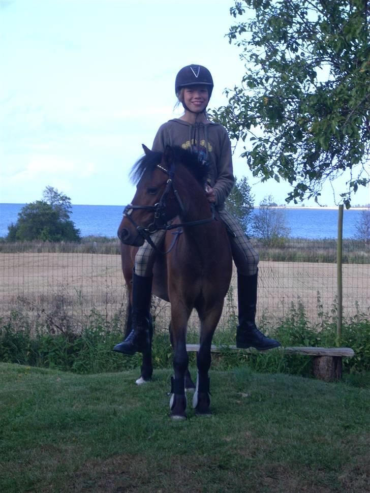 Anden særlig race Starlight * tidl passer * - Indianer :D billede 16