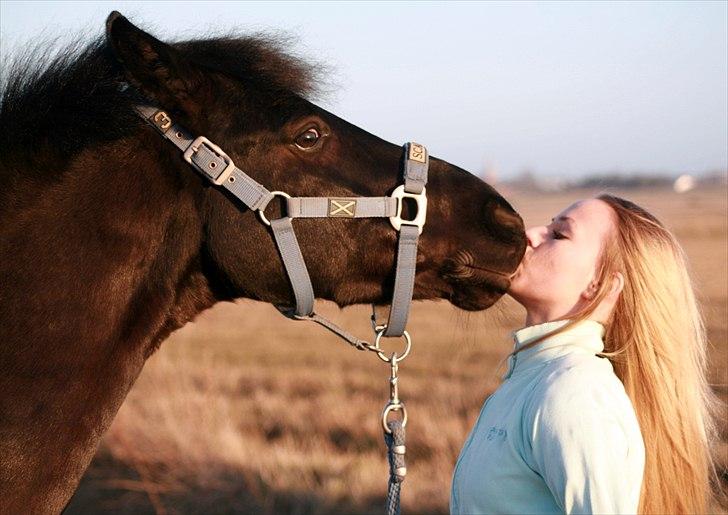 New Forest Mr. Snip SOLGT - Jeg elsker dig. 20.3.11 billede 8