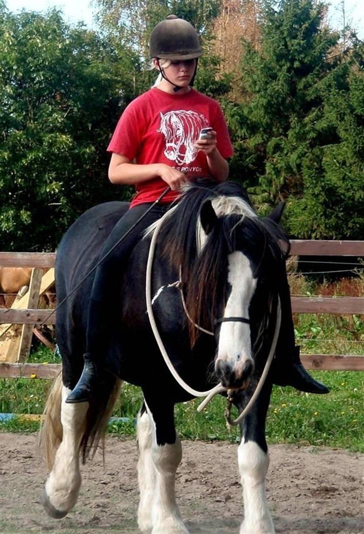 Irish Cob Sorte ( GAMMEL PART ) <3 - 5# Det her er et billede Catarina også har taget imens jeg skridter lidt på Sorte billede 5