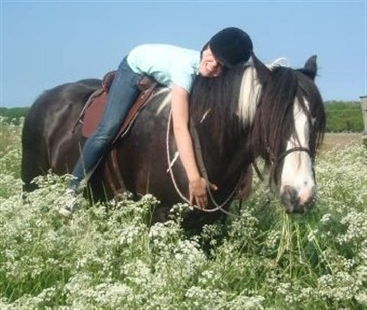 Irish Cob Sorte ( GAMMEL PART ) <3 - 10# Han er da bare så sød <3 billede 10