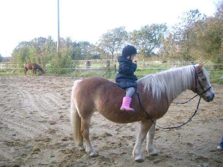 Tyroler Haflinger Lizette (død 10-10-2010) - Min mindste pige, Stefanie er oppe en tur på hende.  billede 7