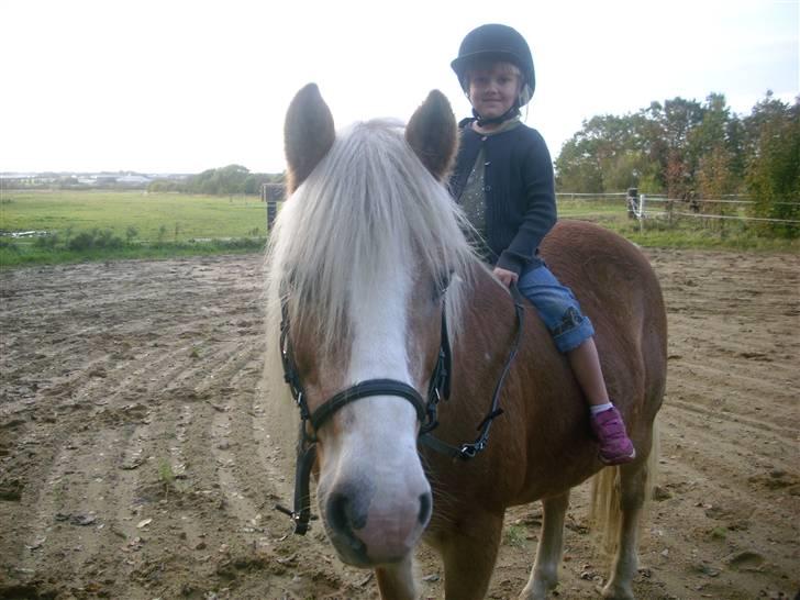Tyroler Haflinger Lizette (død 10-10-2010) - Min anden pige, Cecilie er oppe en tur på hende. billede 8
