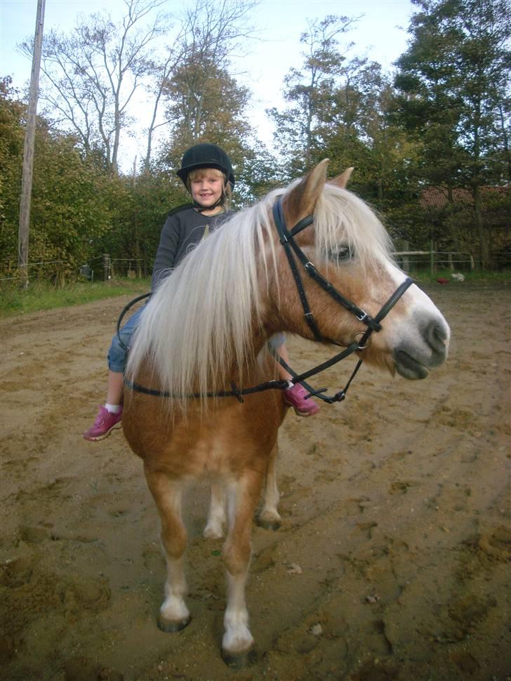 Tyroler Haflinger Lizette (død 10-10-2010) - Cecilie er igen oppe at ride. Se, hvor fine de er :) billede 9
