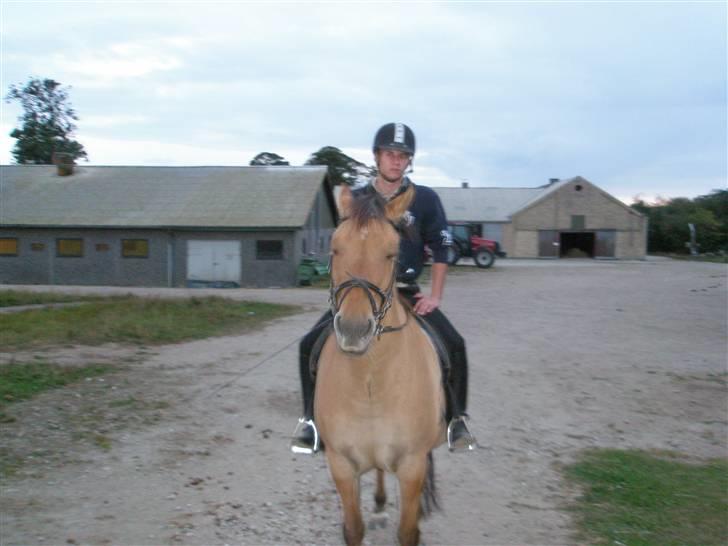 Anden særlig race Frederik *SOLGT* - Min underviser og Frede billede 17