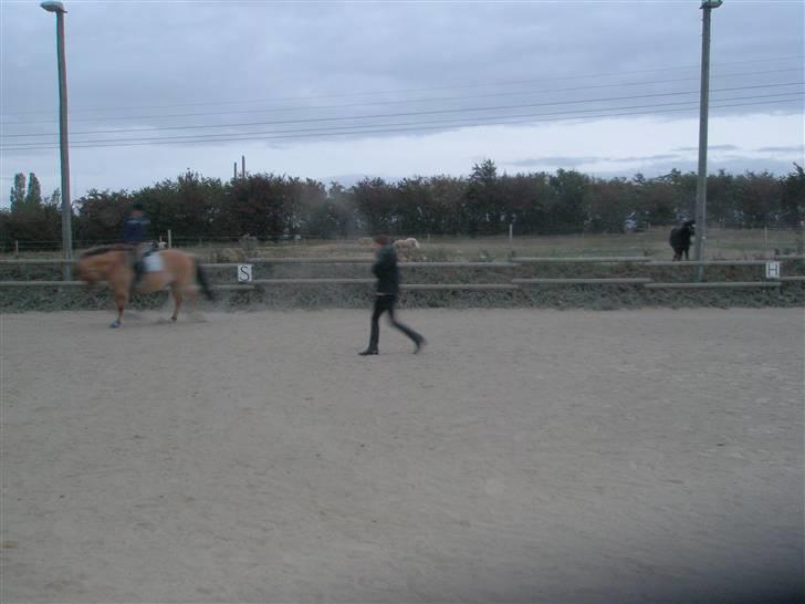 Anden særlig race Frederik *SOLGT* - Frede og jeg undervisning 23/9, undskyld kvaliteten billede 18
