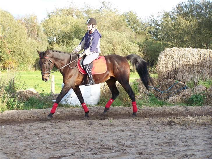 Traver Thor Holmager [R.I.P] - Taget af: Dorte Jensen/Grønvang foto(mig) billede 23