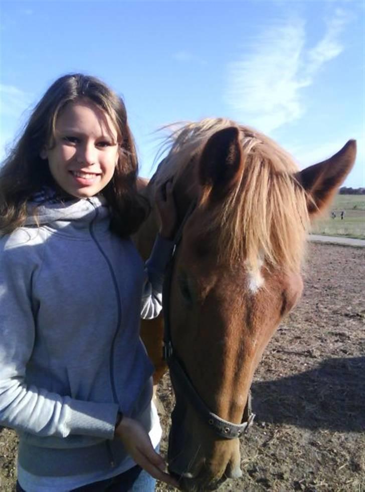Anden særlig race Mintün Kirkaba R.I.P - Mintün og Malene, det er hans anden passer billede 8