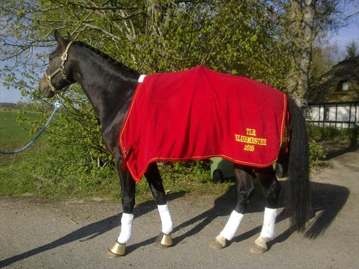 Anden særlig race Jackson *R.I.P* - Klubmester, med det fine nye tæppe ;) billede 3