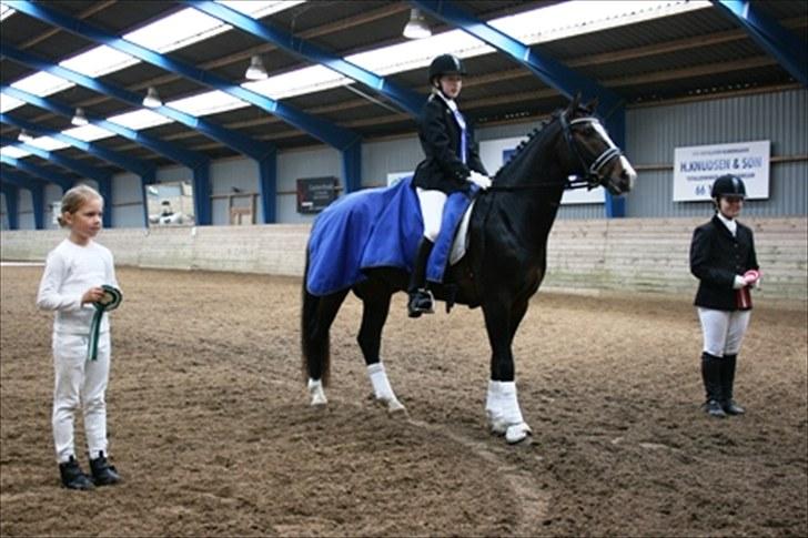 Anden særlig race Jackson *R.I.P* - Hingst og miiqh nummer 2 til 4 stævne :D billede 5