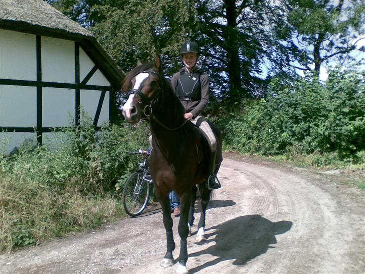 Anden særlig race Jackson *R.I.P* - en af de første rideture<3 billede 9