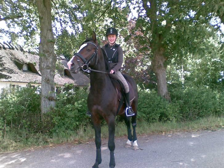 Anden særlig race Jackson *R.I.P* - Majestaten står til fotografering :D billede 10