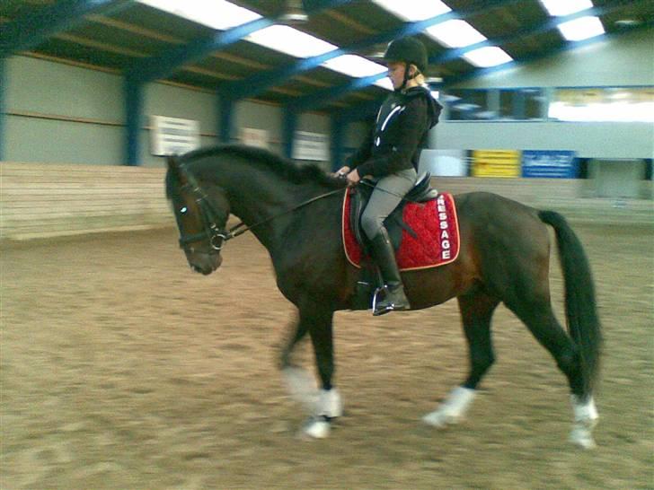 Anden særlig race Jackson *R.I.P* - Havde næsten lige lært at gå til biddet<3 billede 11