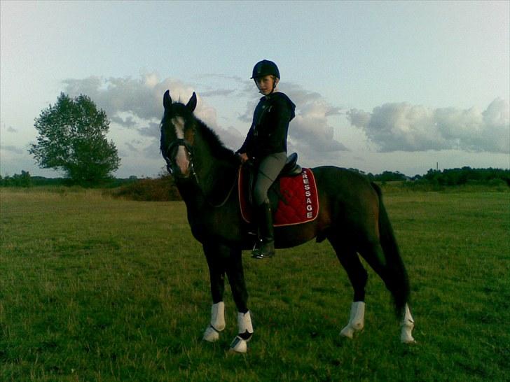 Anden særlig race Jackson *R.I.P* - Miin hingst!<33 billede 12