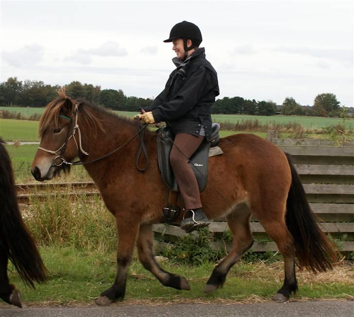 Islænder Tritla fra Rønnekildegård - d. 10 okt 09 Sara og Tritla på tur første gang sammen. Tritla redet i 14 dage billede 15