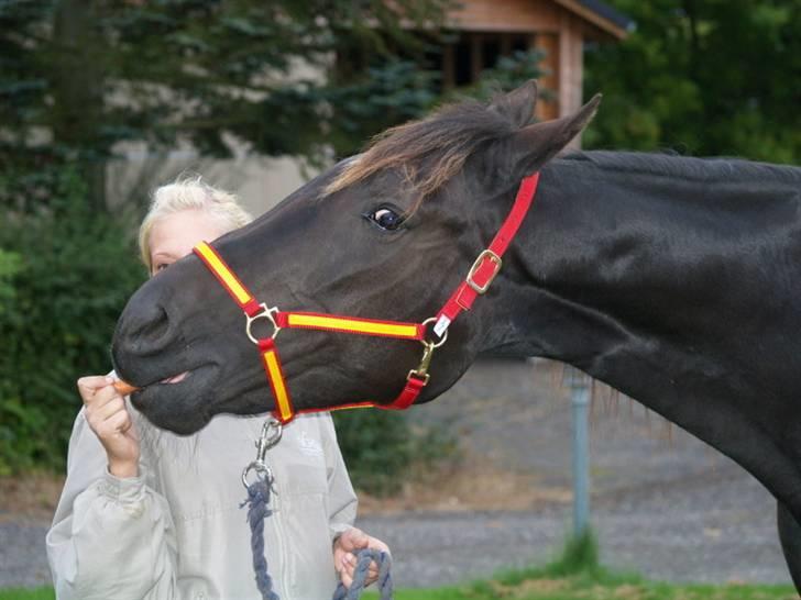 Traver Oddsindskudspuppen(solgt  billede 3