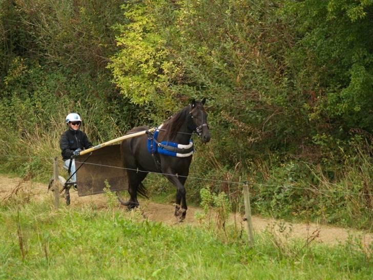 Traver Oddsindskudspuppen(solgt  billede 6