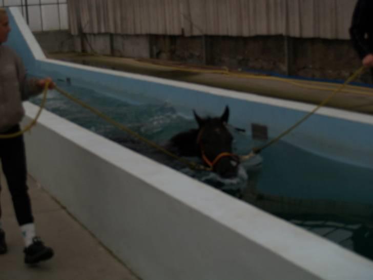 Traver Oddsindskudspuppen(solgt  billede 10