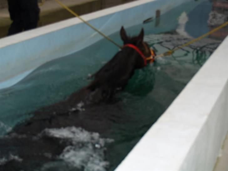 Traver Oddsindskudspuppen(solgt  billede 11