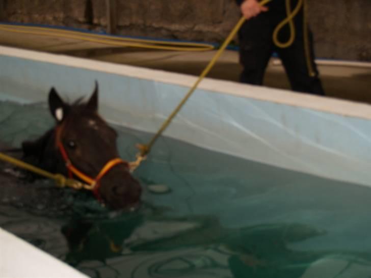 Traver Oddsindskudspuppen(solgt  billede 12