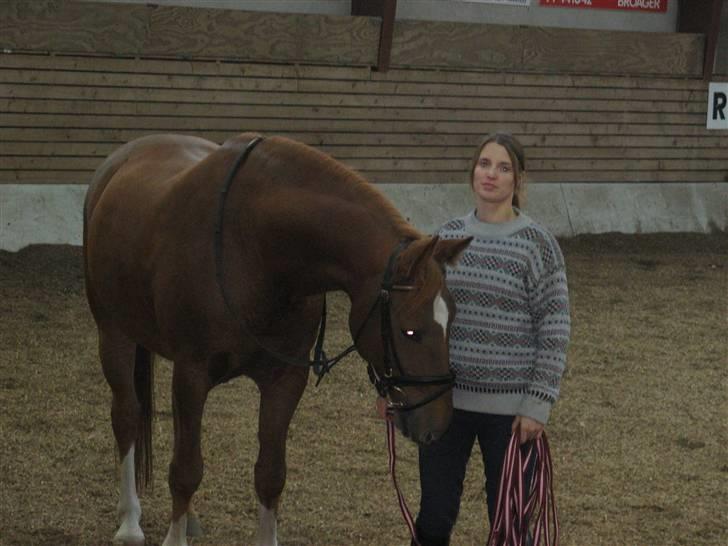 Anden særlig race Trigger (SOLGT) billede 6