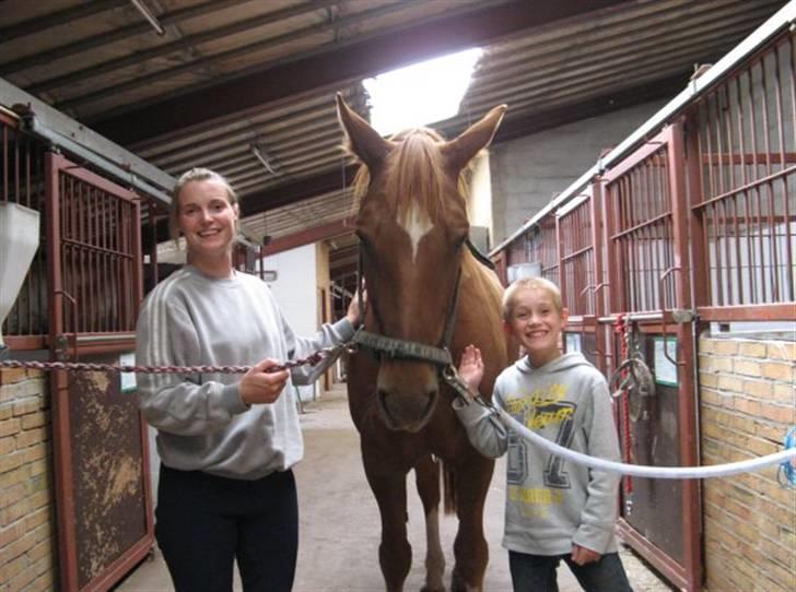 Anden særlig race Trigger (SOLGT) billede 7