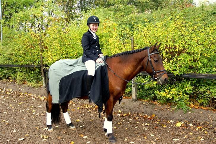 New Forest Napoli (R.I.P).<3 - efter jeg havde redet<3 billede 11