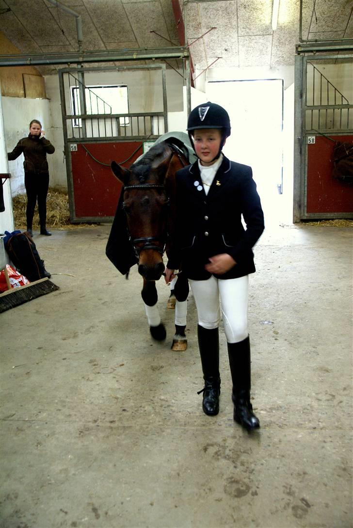 New Forest Napoli (R.I.P).<3 - har ondt i maven avav<3 billede 13