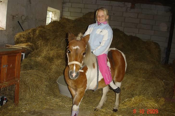 Anden særlig race Freja <3 billede 10