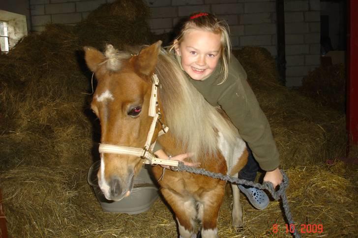 Anden særlig race Freja <3 billede 12