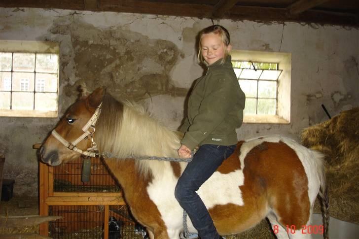 Anden særlig race Freja <3 billede 13