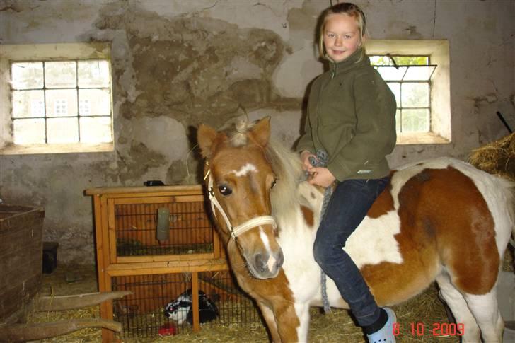 Anden særlig race Freja <3 billede 14