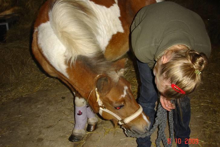 Anden særlig race Freja <3 billede 15