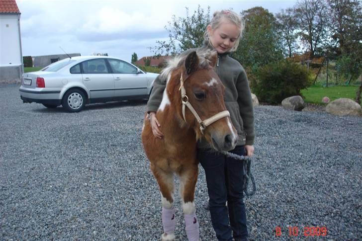 Anden særlig race Freja <3 billede 16