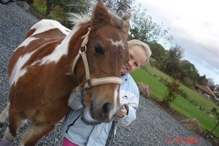 Anden særlig race Freja <3 billede 17