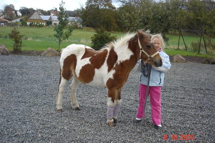 Anden særlig race Freja <3 billede 18