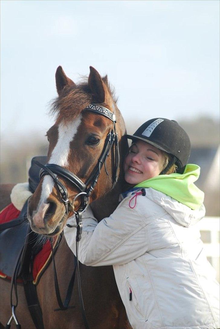 New Forest Orchid's Champer  - Champen med hans søde passer Michelle <3 Foto: Mathilde Schmidt billede 1