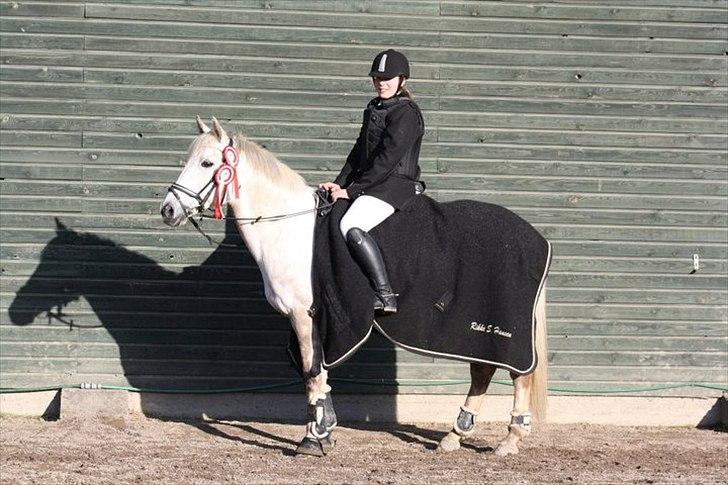 Anden særlig race Huba <3 *STJERNEN* R.I.P <3<3<3 - Stævne på SLRK <3 2011 billede 5