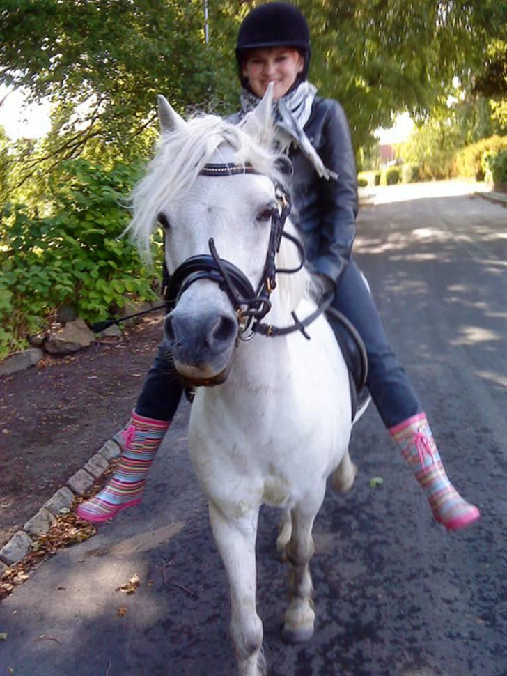 Welsh Pony (sec B) Ib! -gammel part. - og Ida til hest : D billede 10