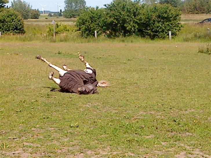 Welsh Pony (sec B) Ib! -gammel part. - Ib ruller d: billede 11