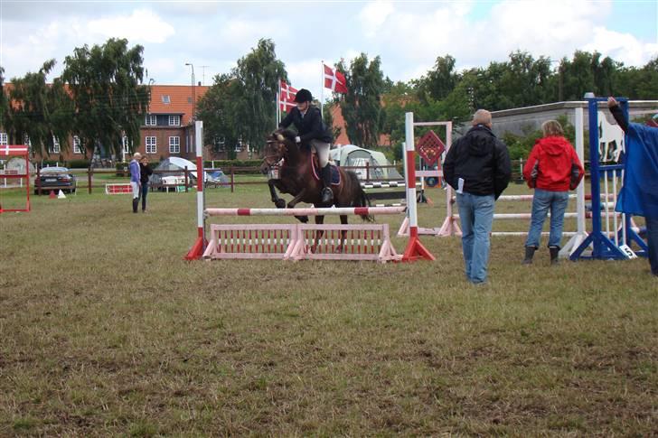 Anden særlig race Ibrahim <3<3<3 solgt billede 14