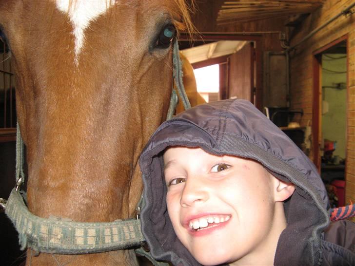 Anden særlig race Trigger (SOLGT) - Philip og Trigger billede 12