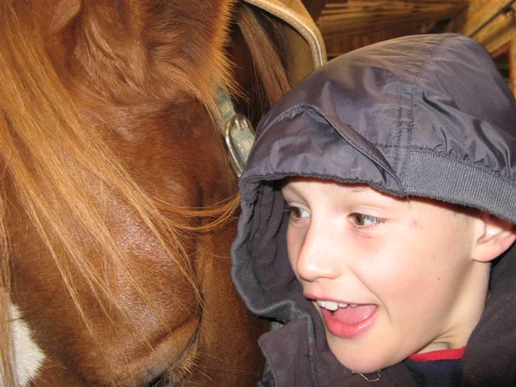 Anden særlig race Trigger (SOLGT) billede 18