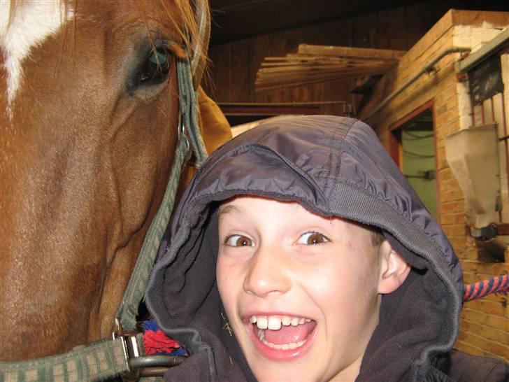 Anden særlig race Trigger (SOLGT) billede 19