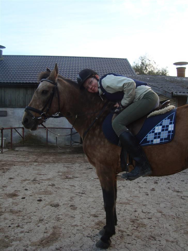 Connemara E Alouette Klubmester' 10 billede 9